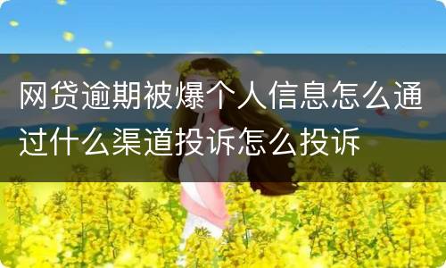 网贷逾期被爆个人信息怎么通过什么渠道投诉怎么投诉