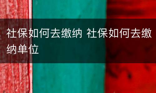 社保如何去缴纳 社保如何去缴纳单位