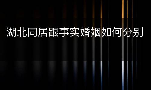 湖北同居跟事实婚姻如何分别