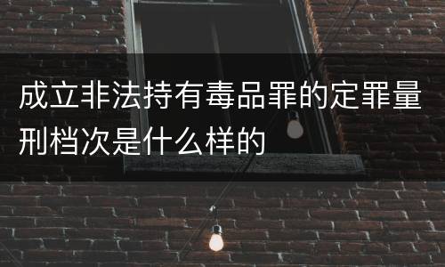 成立非法持有毒品罪的定罪量刑档次是什么样的