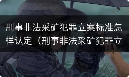刑事非法采矿犯罪立案标准怎样认定（刑事非法采矿犯罪立案标准怎样认定的）