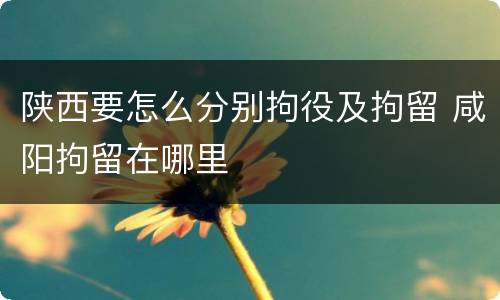 陕西要怎么分别拘役及拘留 咸阳拘留在哪里