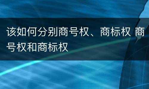 该如何分别商号权、商标权 商号权和商标权