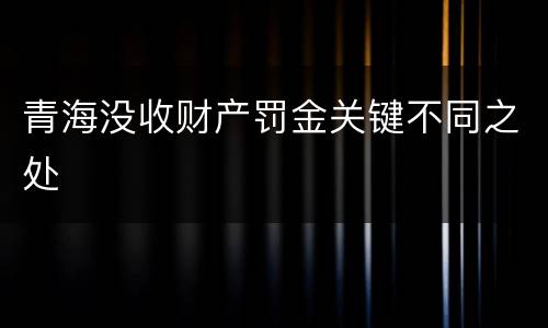 青海没收财产罚金关键不同之处