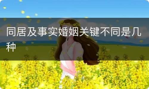 同居及事实婚姻关键不同是几种