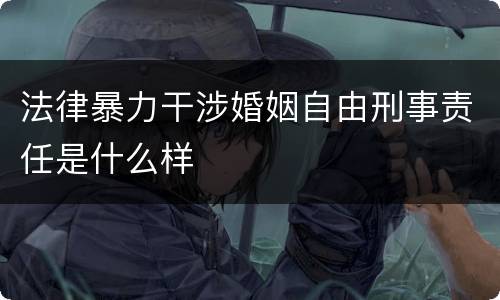 法律暴力干涉婚姻自由刑事责任是什么样