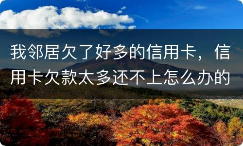 我邻居欠了好多的信用卡，信用卡欠款太多还不上怎么办的啊