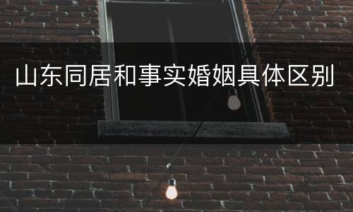 山东同居和事实婚姻具体区别