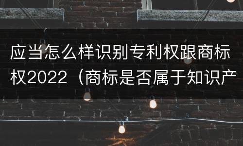 应当怎么样识别专利权跟商标权2022（商标是否属于知识产权）