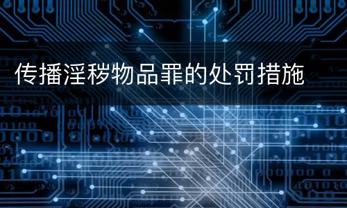 传播淫秽物品罪的处罚措施