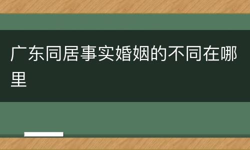 广东同居事实婚姻的不同在哪里