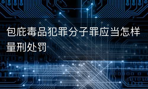 包庇毒品犯罪分子罪应当怎样量刑处罚