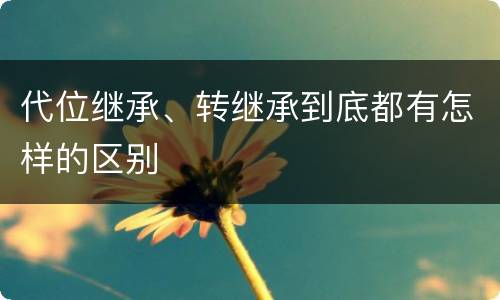 代位继承、转继承到底都有怎样的区别