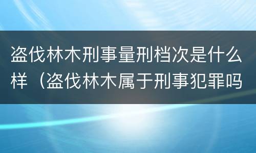 盗伐林木刑事量刑档次是什么样（盗伐林木属于刑事犯罪吗）