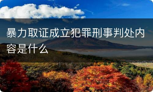暴力取证成立犯罪刑事判处内容是什么