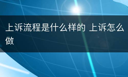 上诉流程是什么样的 上诉怎么做
