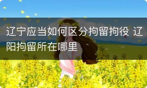 辽宁应当如何区分拘留拘役 辽阳拘留所在哪里