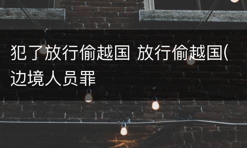犯了放行偷越国 放行偷越国(边境人员罪