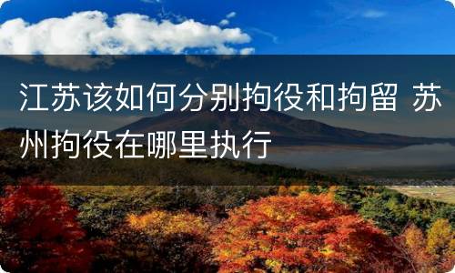 江苏该如何分别拘役和拘留 苏州拘役在哪里执行