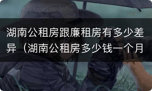 湖南公租房跟廉租房有多少差异（湖南公租房多少钱一个月）