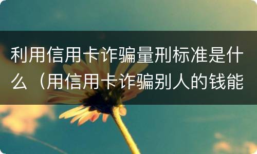 利用信用卡诈骗量刑标准是什么（用信用卡诈骗别人的钱能追回吗）