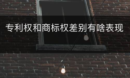 专利权和商标权差别有啥表现