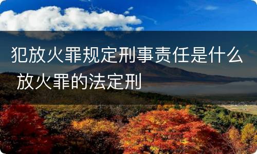 犯放火罪规定刑事责任是什么 放火罪的法定刑