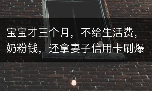 宝宝才三个月，不给生活费，奶粉钱，还拿妻子信用卡刷爆了，没有偿还