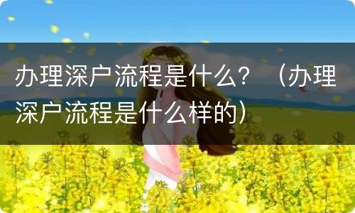 办理深户流程是什么？（办理深户流程是什么样的）