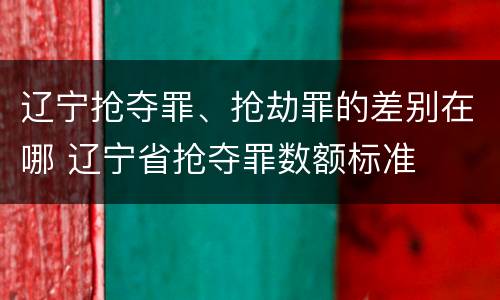 辽宁抢夺罪、抢劫罪的差别在哪 辽宁省抢夺罪数额标准