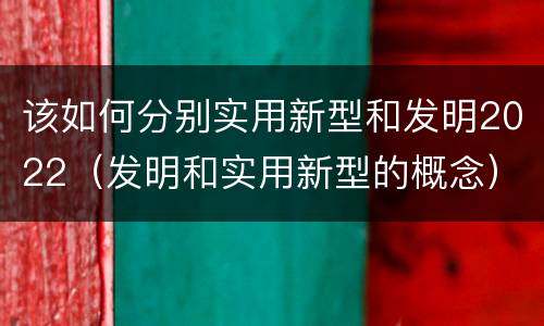 该如何分别实用新型和发明2022（发明和实用新型的概念）