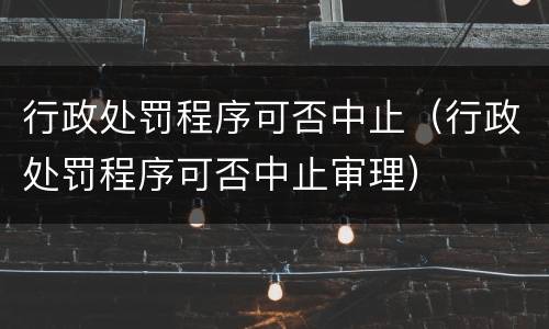 行政处罚程序可否中止(行政处罚程序可否中止审理)