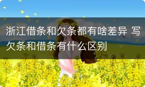浙江借条和欠条都有啥差异 写欠条和借条有什么区别