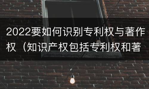 2022要如何识别专利权与著作权（知识产权包括专利权和著作权吗）