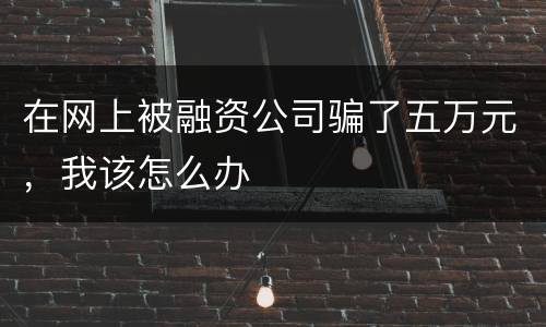 在网上被融资公司骗了五万元，我该怎么办