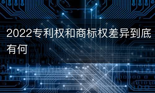 2022专利权和商标权差异到底有何