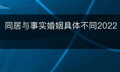 同居与事实婚姻具体不同2022