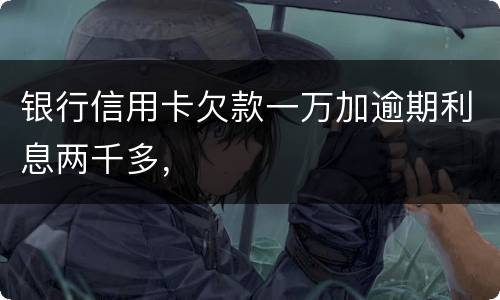 银行信用卡欠款一万加逾期利息两千多，