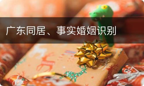 广东同居、事实婚姻识别