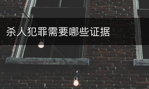 杀人犯罪需要哪些证据