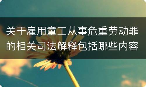 关于雇用童工从事危重劳动罪的相关司法解释包括哪些内容