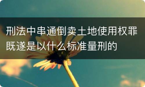 刑法中串通倒卖土地使用权罪既遂是以什么标准量刑的