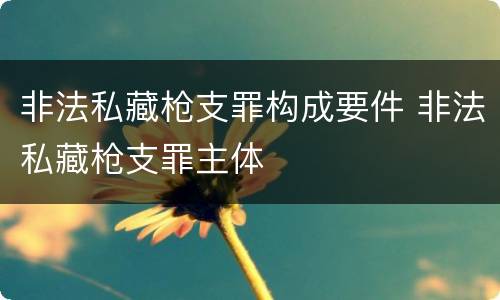 非法私藏枪支罪构成要件 非法私藏枪支罪主体