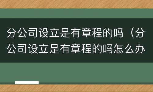 分公司设立是有章程的吗（分公司设立是有章程的吗怎么办）