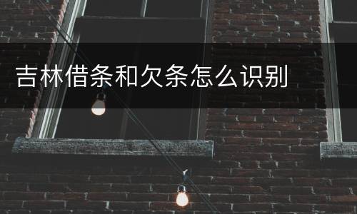 吉林借条和欠条怎么识别