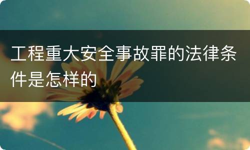 工程重大安全事故罪的法律条件是怎样的