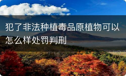 犯了非法种植毒品原植物可以怎么样处罚判刑