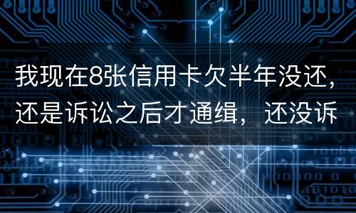 我现在8张信用卡欠半年没还，还是诉讼之后才通缉，还没诉讼
