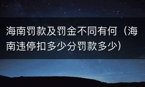 海南罚款及罚金不同有何（海南违停扣多少分罚款多少）