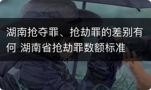 湖南抢夺罪、抢劫罪的差别有何 湖南省抢劫罪数额标准